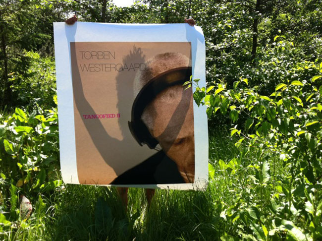 Waltz Me from Tangofied II Album